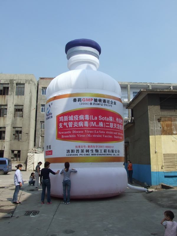 寿县广告宣传气模